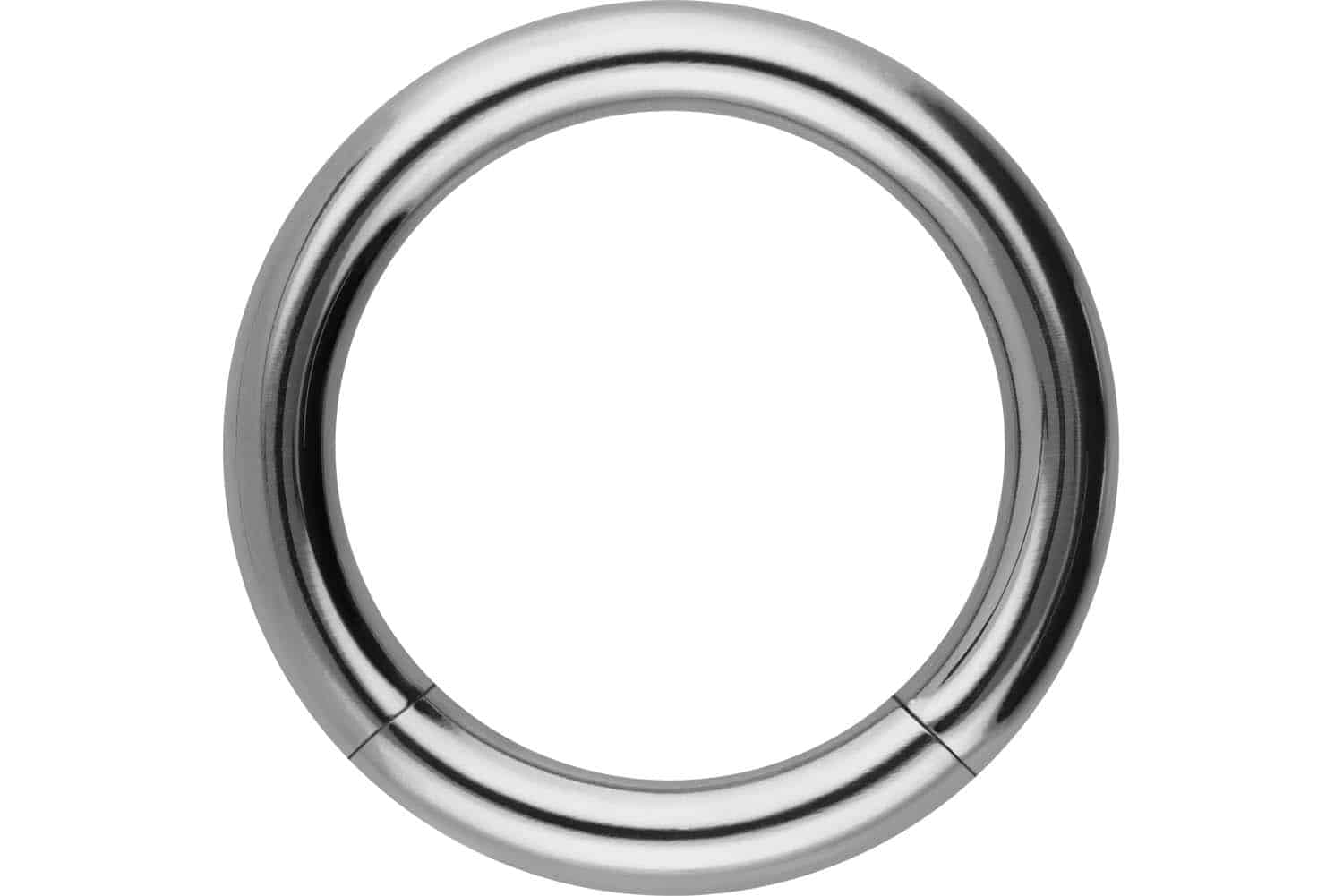 Titan Segmentring von Piercingline